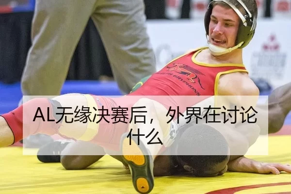 AL无缘决赛后，外界在讨论什么